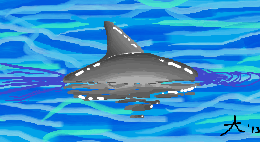 Vaquita Swimming