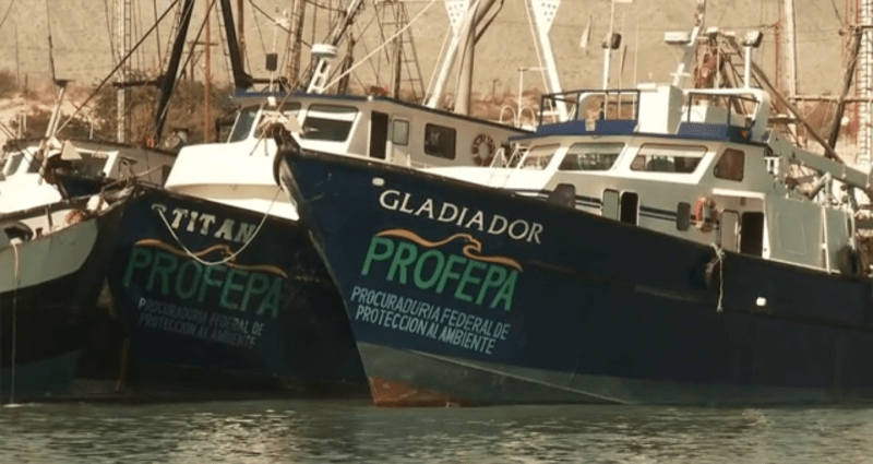 PROFEPA ships used for patrolling.  © 2008 Chris Johnson, earthOCEAN 