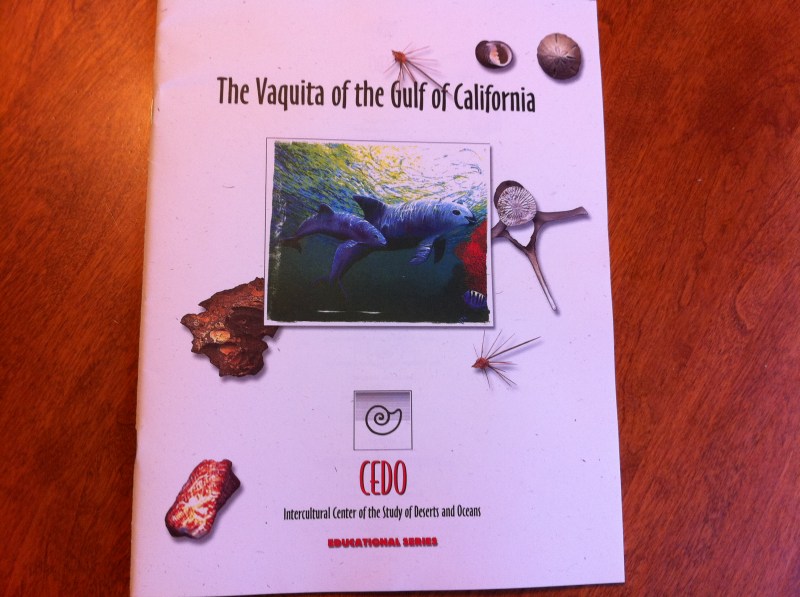 The Vaquita of the Gulf of California