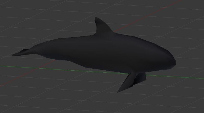 Solid Vaquita