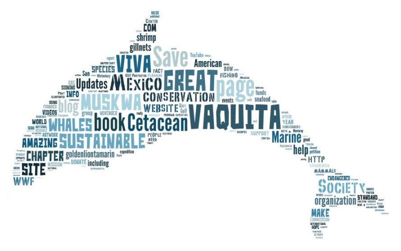 Vaquita Word Cloud