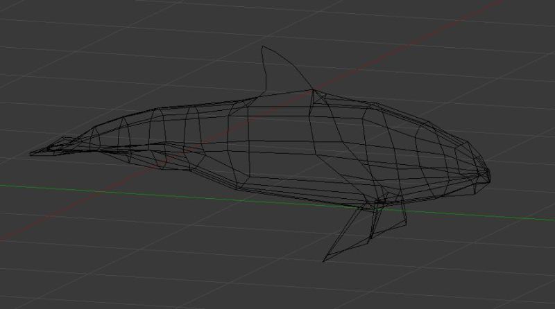 Wireframe Vaquita