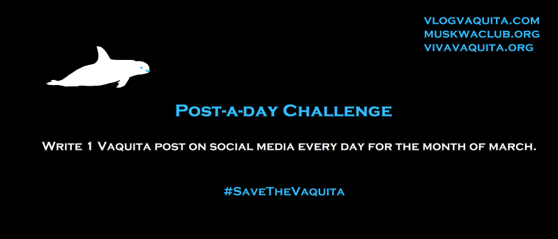 Post-a-day Challenge