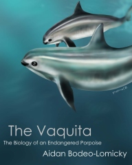 The Vaquita: The Biology of an Endangered Porpoise