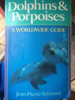 Dolphins and Porpoises