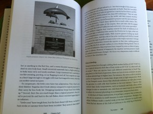 The Extreme Life of the Sea interior