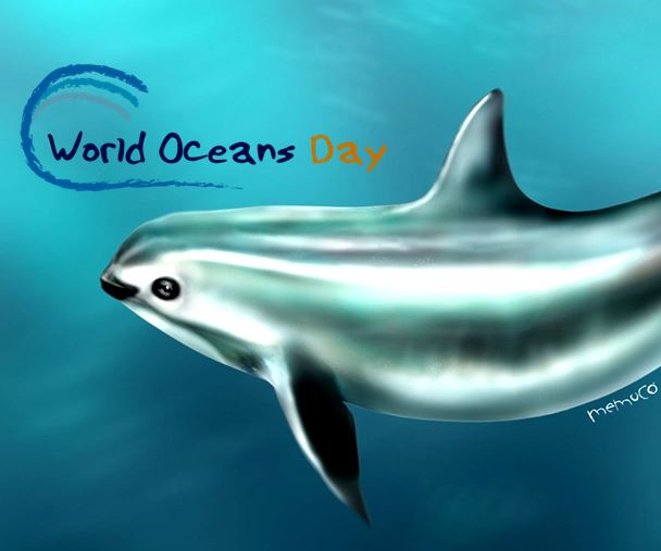 World Oceans Day Vaquita