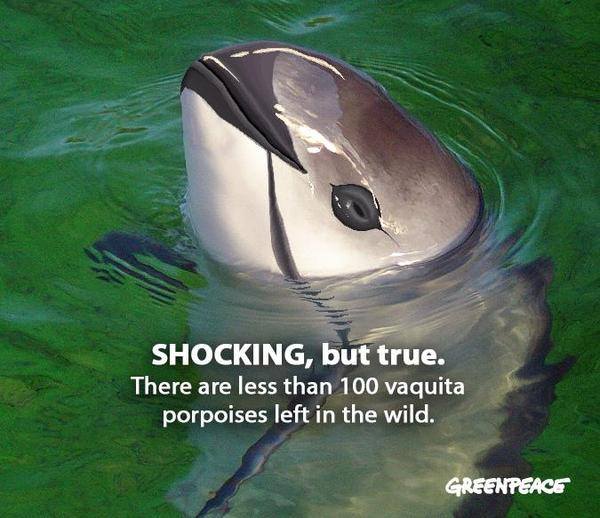 10410698_10152646781538300_371668272648181126_n