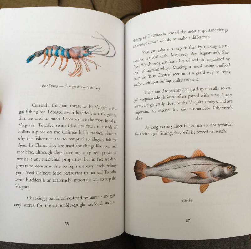 Some of the many new pages and illustrations