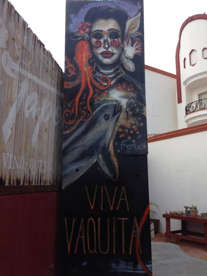 Memuco's brand new mural in Puerto Peñasco