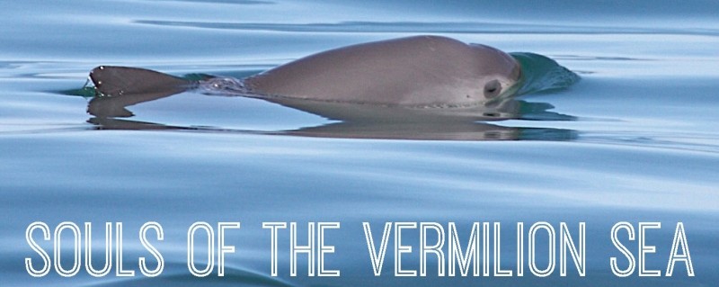 Souls of the Vermilion Sea
