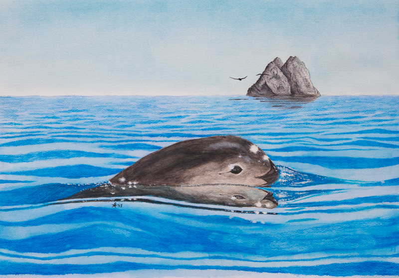 Image copyright © Aidan Bodeo-Lomicky