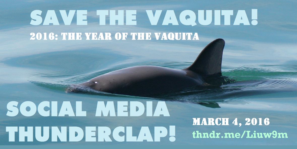 Thunderclap Poster.JPG